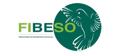 Logo de Fibeso